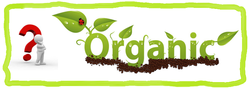Organic vegetables, antioxidants